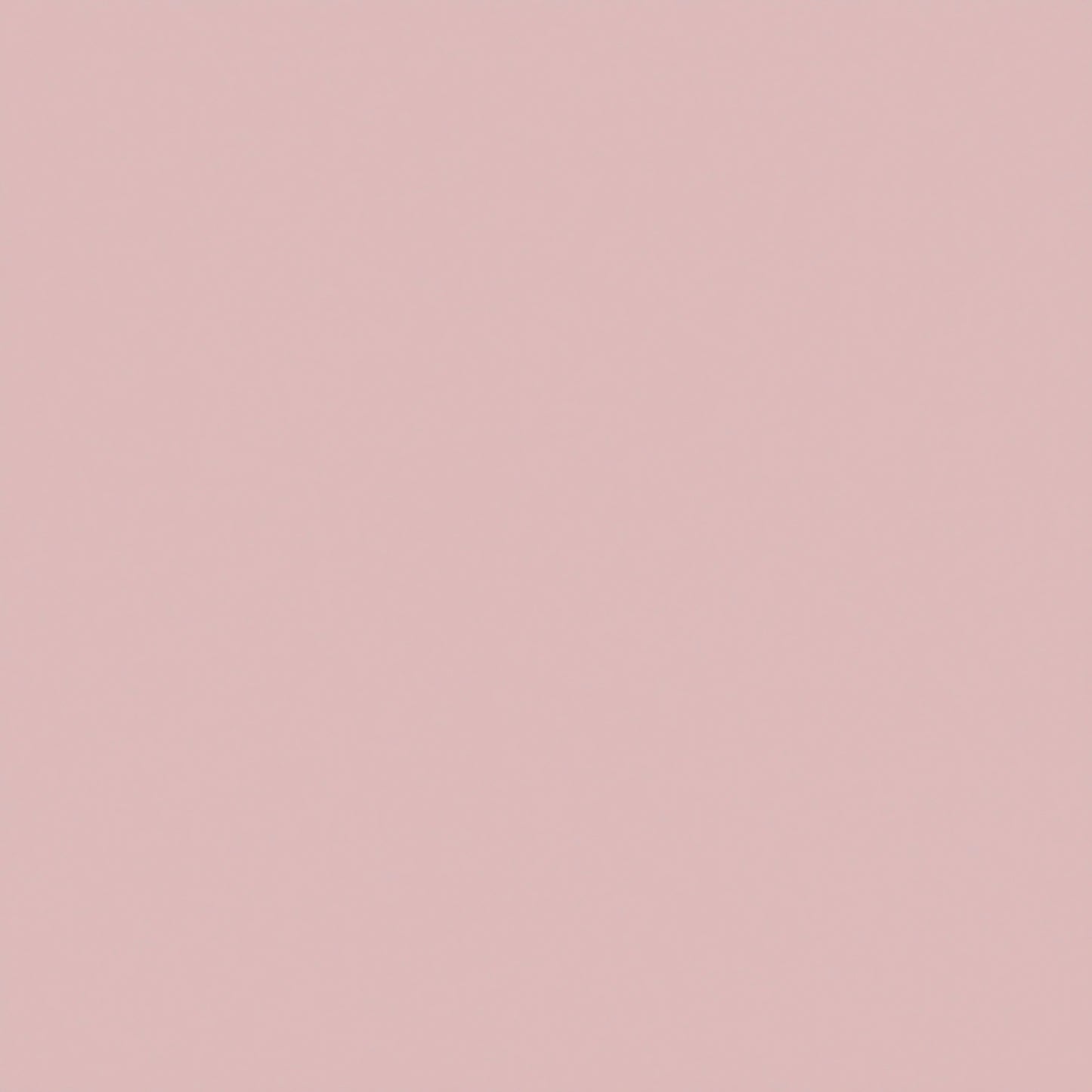 Stainless Steel Dinner Set